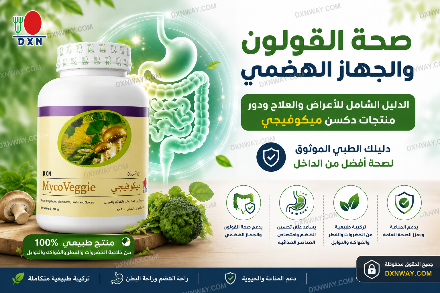 ميكوفيجي دكسن واي